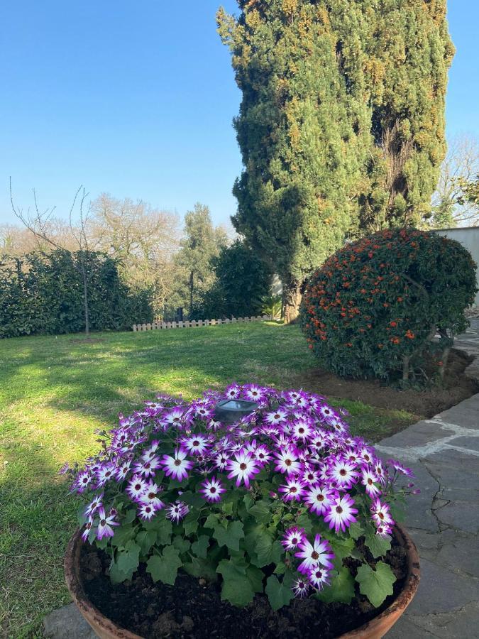 Villa Del Rubbio Rzym Zewnętrze zdjęcie